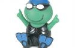 COUPE VILLENEUVOISE DE NAGE AVEC PALMES