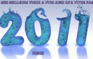 TRES BONNE ET HEUREUSE ANNEE 2011