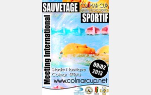 COLMAR-CUP 2013