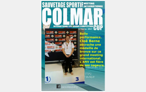 Meeting international - Colmar Cup 2017