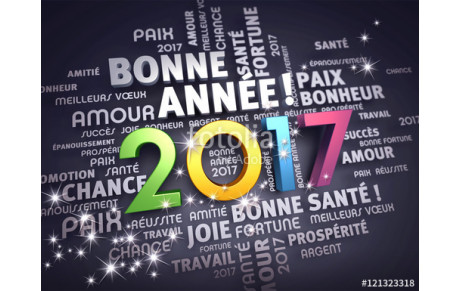 Bonne année 2017